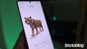 Google 3D: como ver 60 modelos de animais, órgãos e células