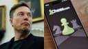 Xadrez resolvido por IA: o que Musk exagera e acerta