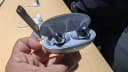 Huawei FreeBuds Neo: vale a pena em 2025? Review completa