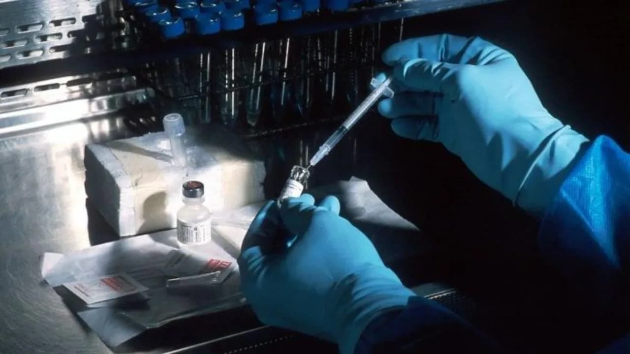 Vacina mRNA contra melanoma: tudo o que precisa de saber