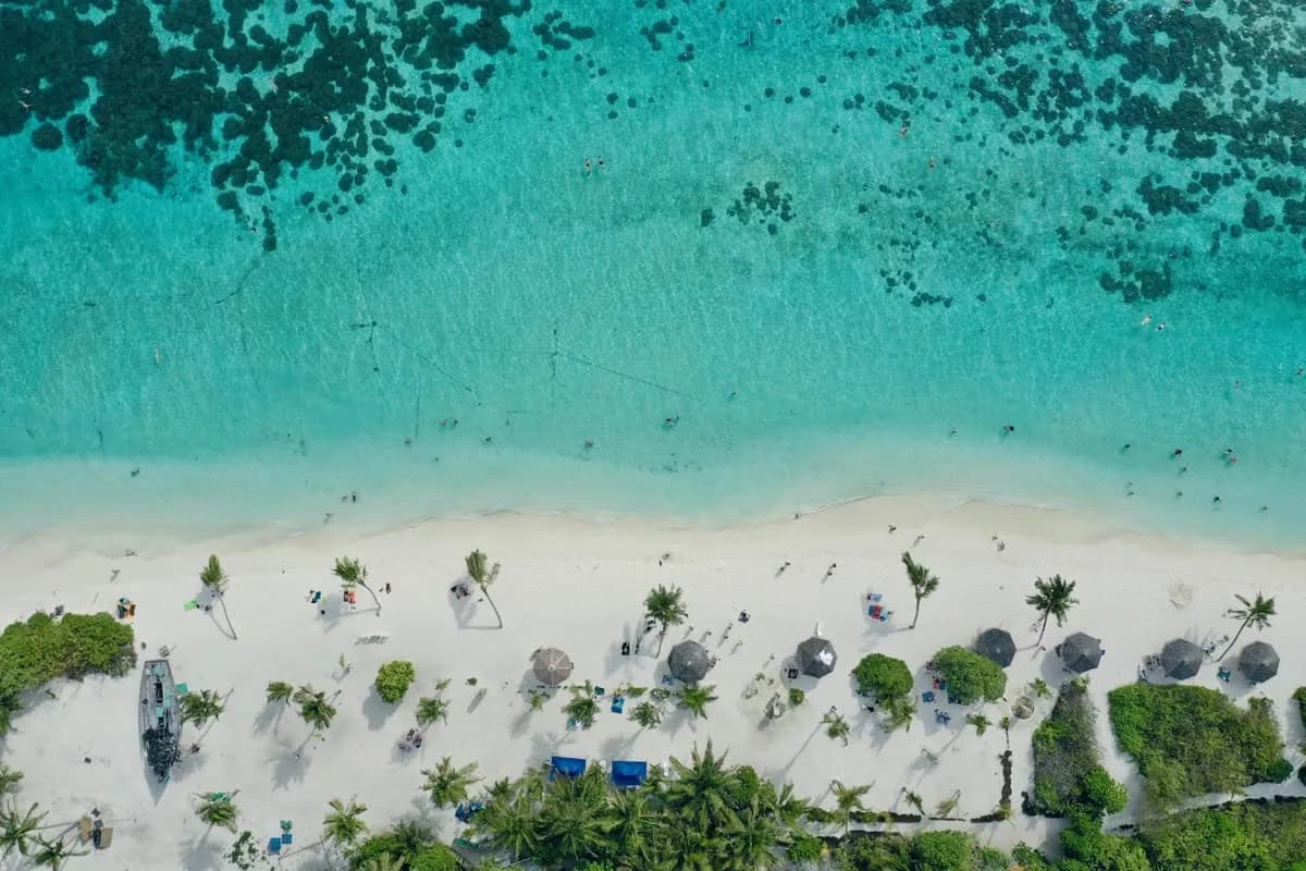 Como a inteligência artificial ajuda a recuperar praias
